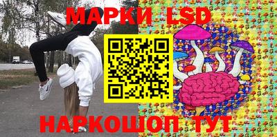 мяу мяу мука Аргун