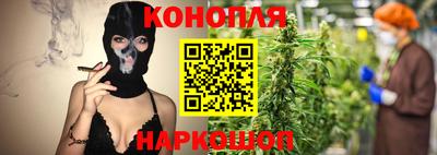 мяу мяу мука Аргун