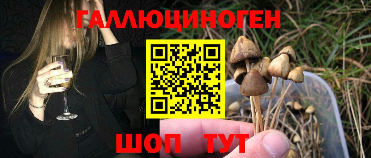 Галлюциногенные грибы мицелий  Вход с VPN  Галлюциногенные грибы мицелий  Борзя 